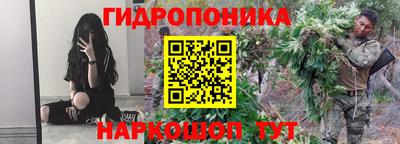 соль ск Обь