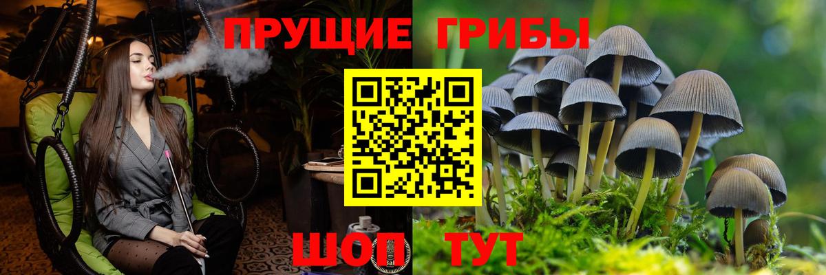 Псилоцибиновые грибы мицелий  Вход с VPN  Среднеуральск 