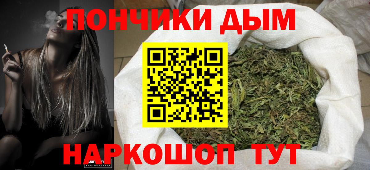 Бошки Шишки Bruce Banner  Вход с VPN  Среднеуральск  Конопля ГИДРОПОН  Каннабис план 